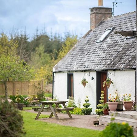 Cosy & Rustic Retreat - Woodland Cottage. Nairn Eksteriør bilde
