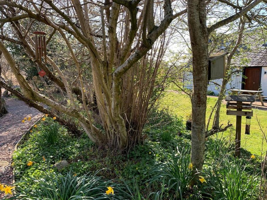 Cosy & Rustic Retreat - Woodland Cottage. Nairn Eksteriør bilde