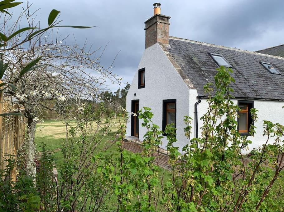 Cosy & Rustic Retreat - Woodland Cottage. Nairn Eksteriør bilde